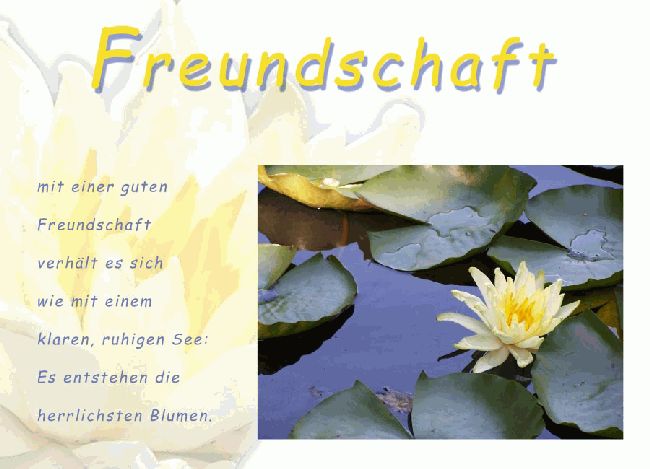 Bild, Freundschaft